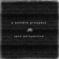 A Sombre Prospect : Zero Perspective